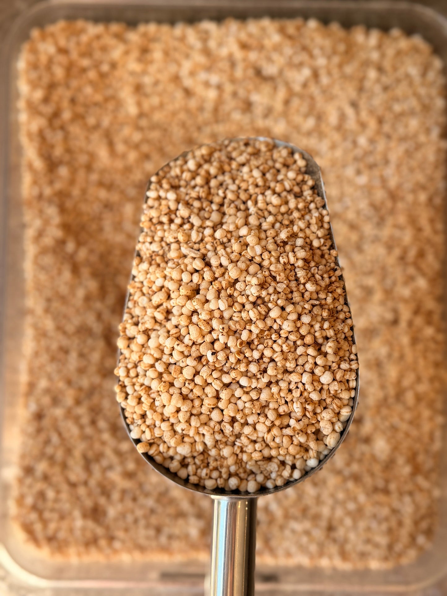 Quinoa Pop Natural