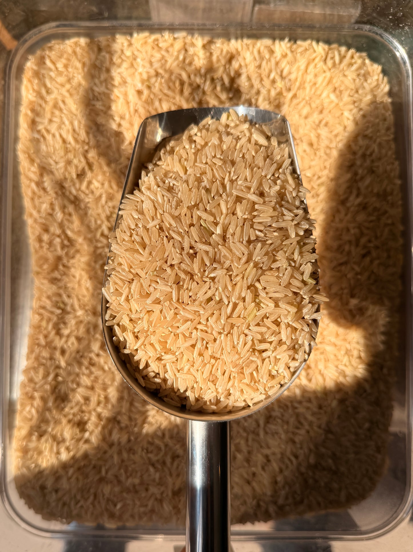 Arroz Integral