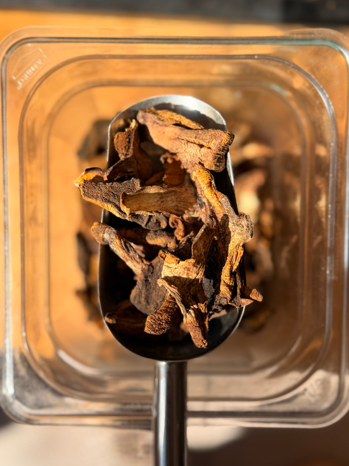 Callampas Secas