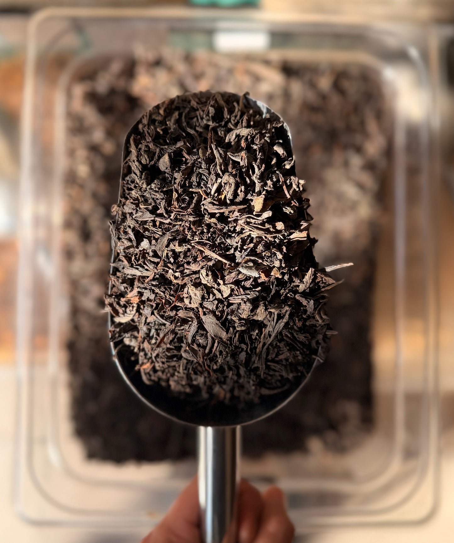 Té Ceylan