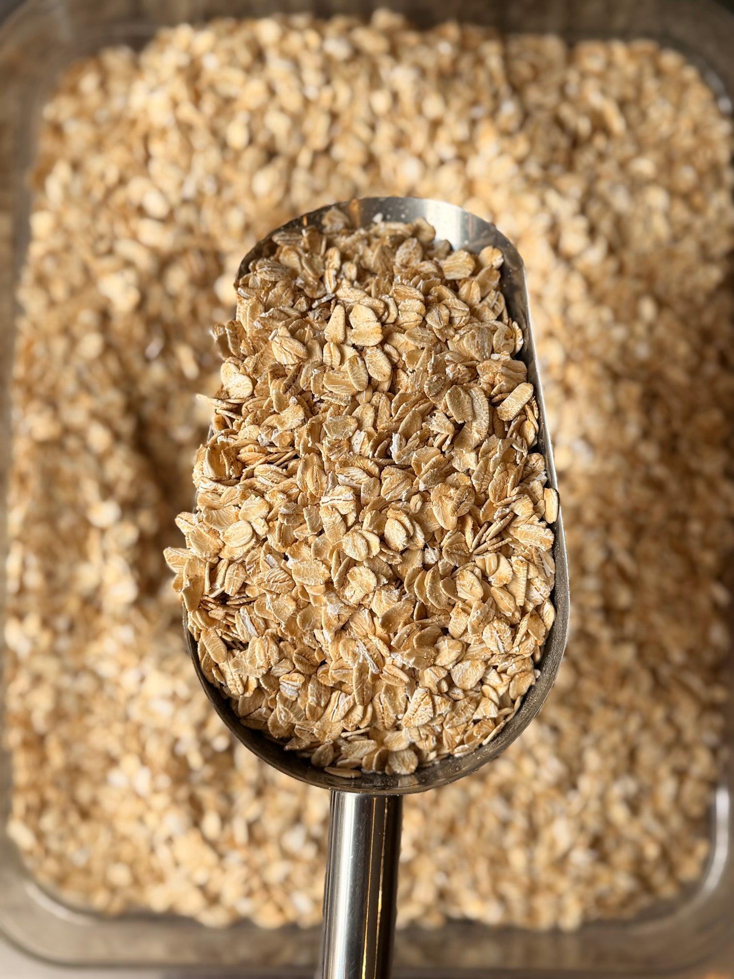 Avena Integral