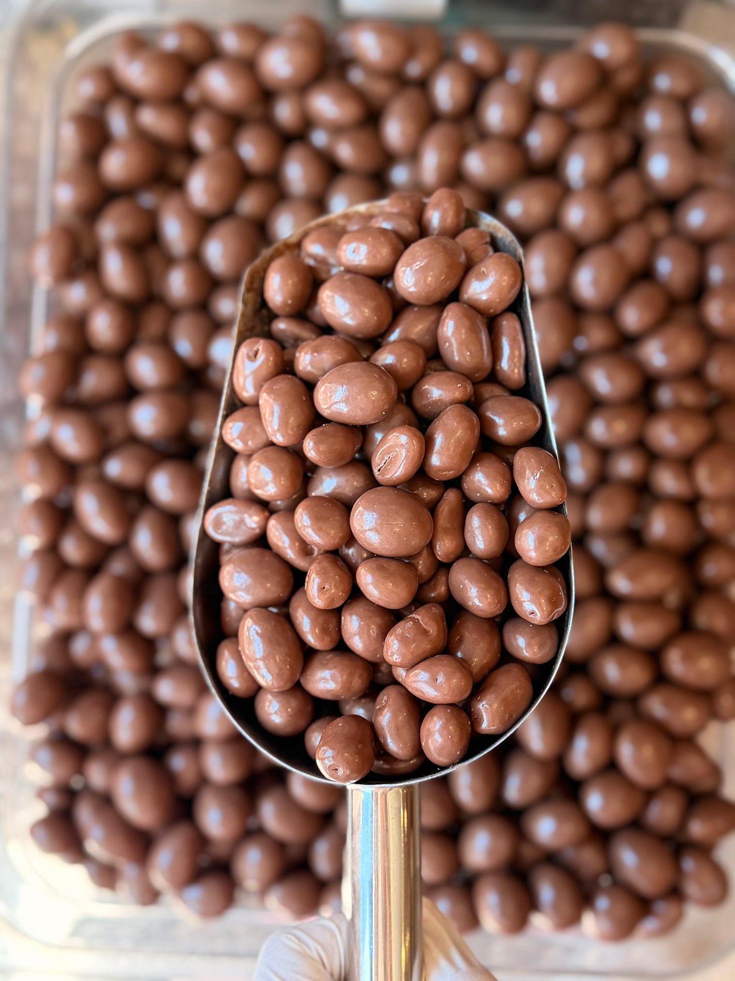 Maní Chocolate Leche