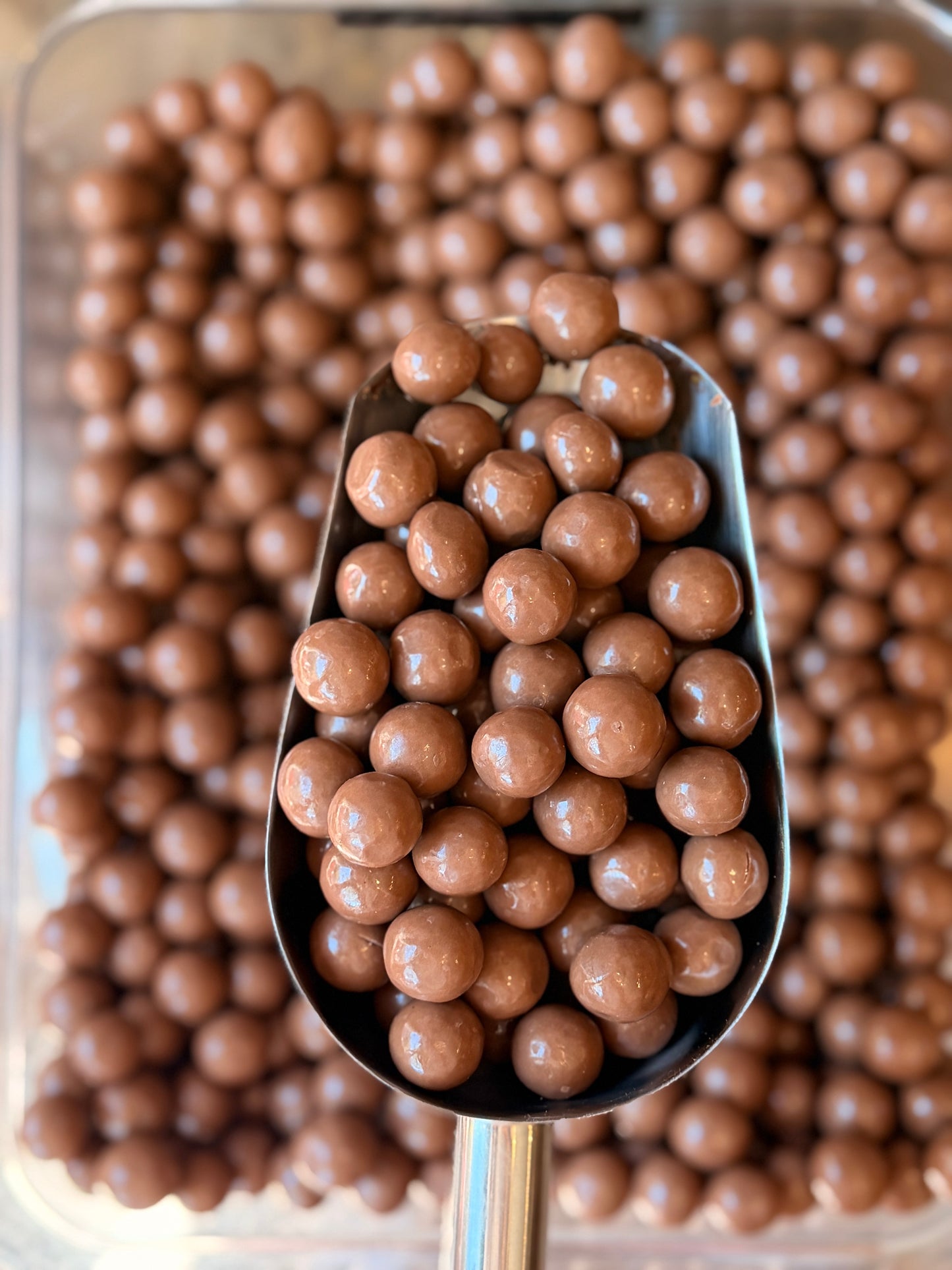 Avellanas Chocolate Leche