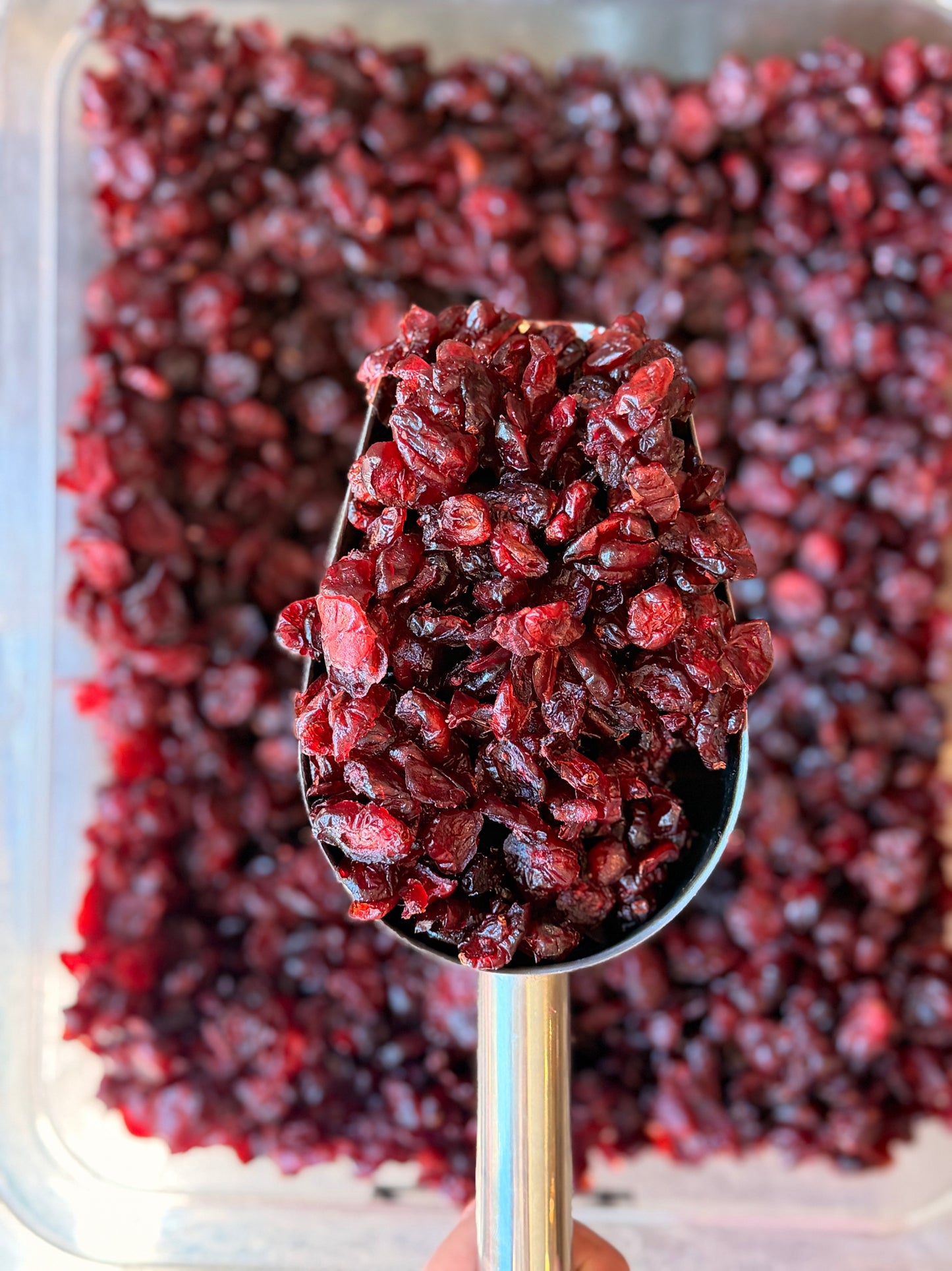 Cranberries