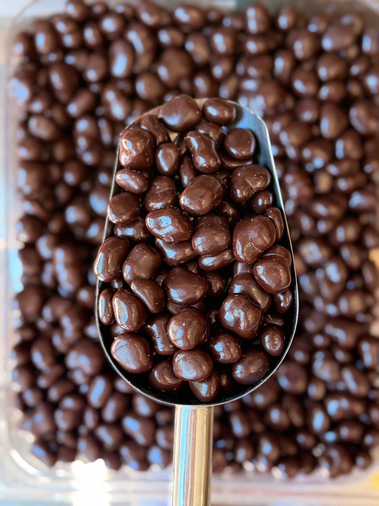 Cranberries Chocolate Bitter