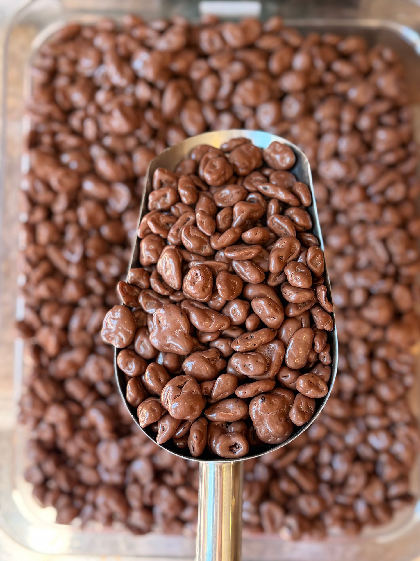 Cranberries Chocolate Leche
