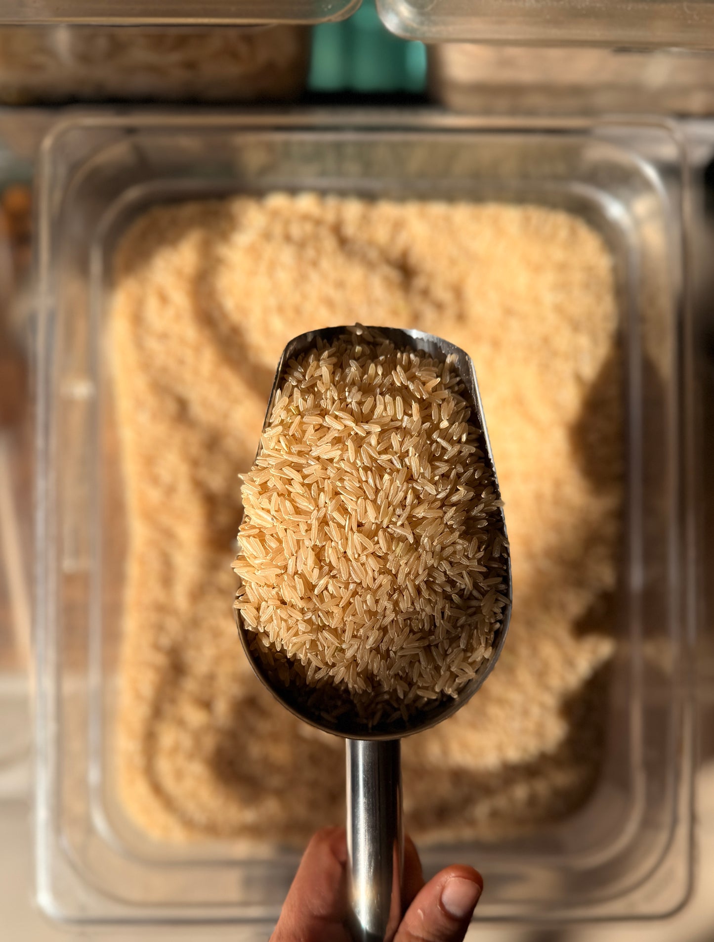 Arroz Integral