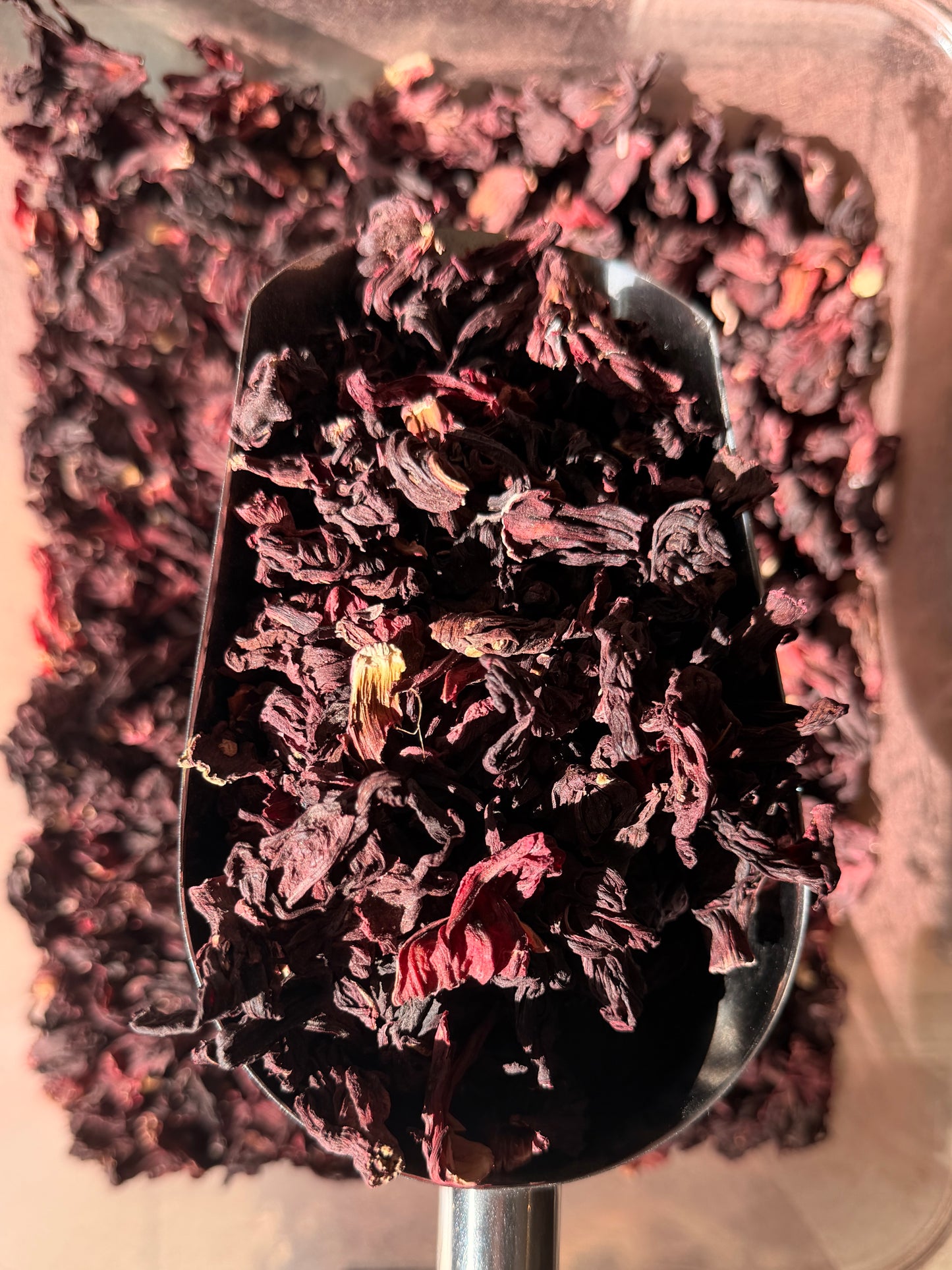 Hibiscus (Flor De Jamaica)