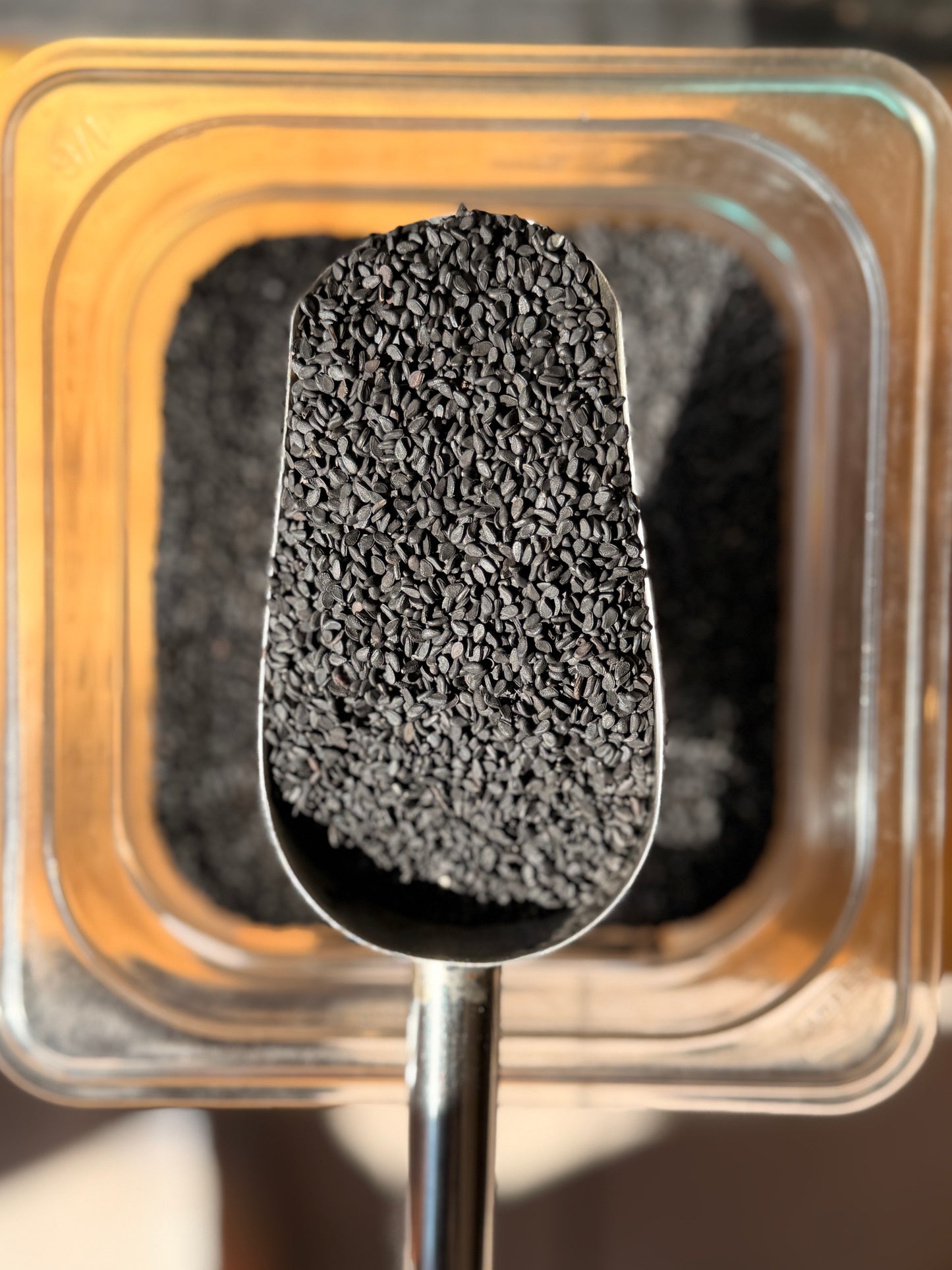 Sesamo Negro