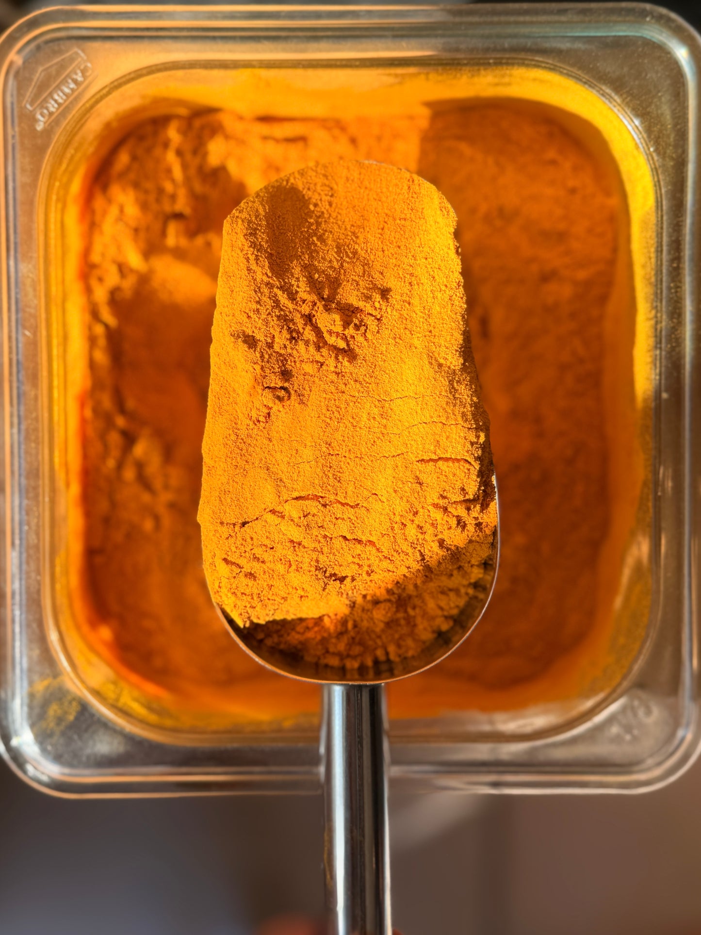 Curcuma En Polvo