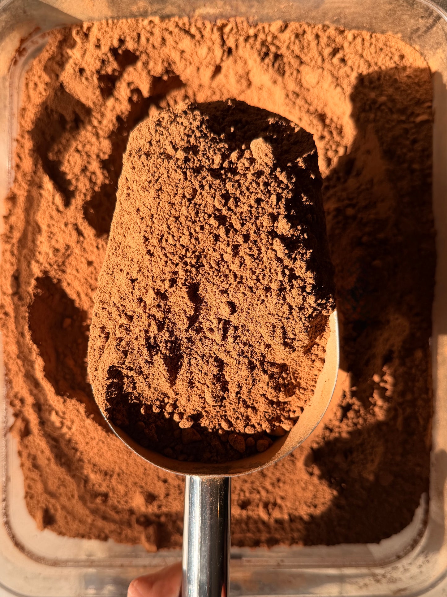 Cacao Amargo
