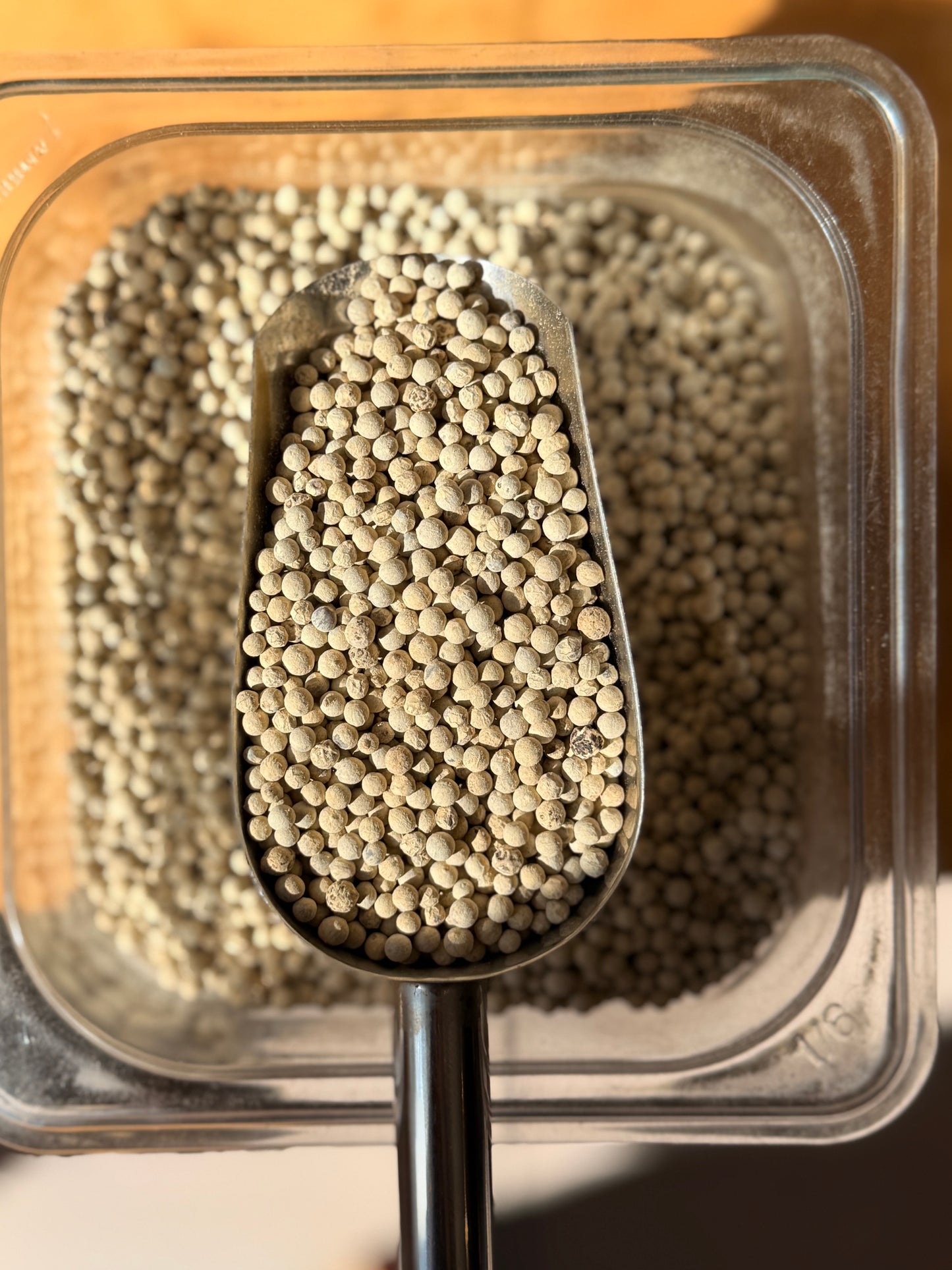 Pimienta Blanca Entera