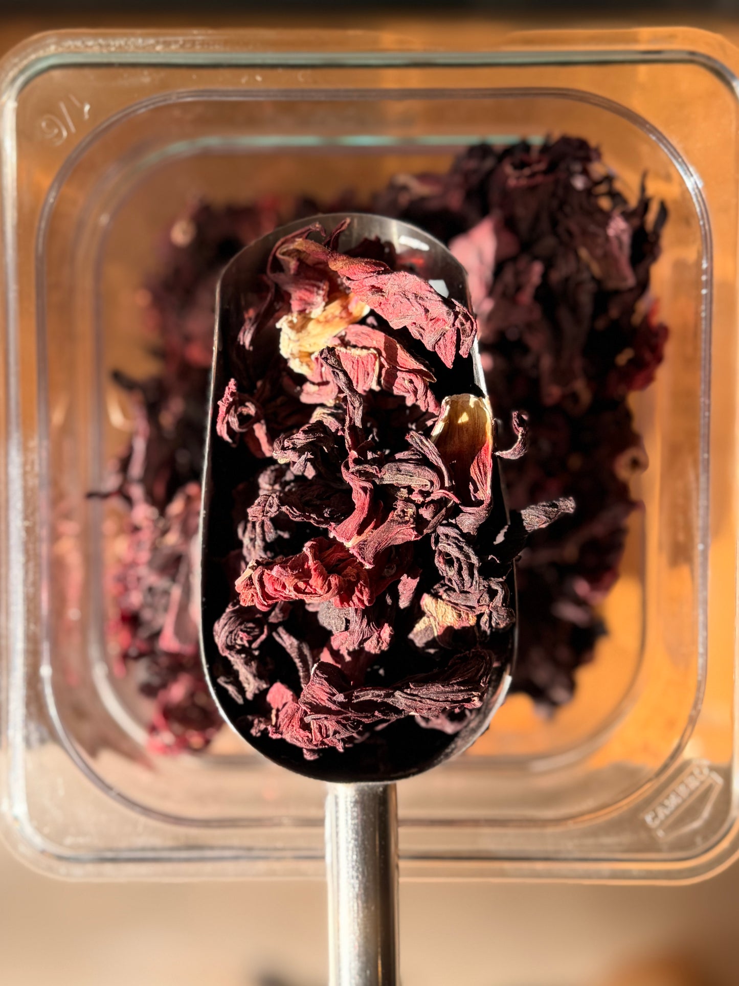 Hibiscus (Flor De Jamaica)
